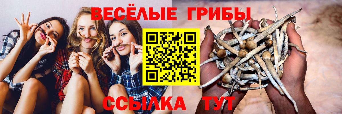 Выкса  Псилоцибиновые грибы ЛСД  Галлюциногенные грибы ЛСД  Вход с VPN 